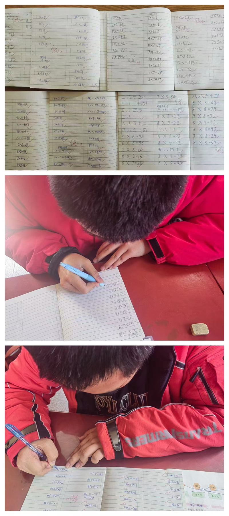 看，我们的作业多棒啊！